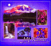 Mt Rainier Cotton Throw
