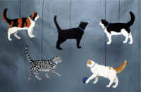 Pacific Northwest Cats Mobile.