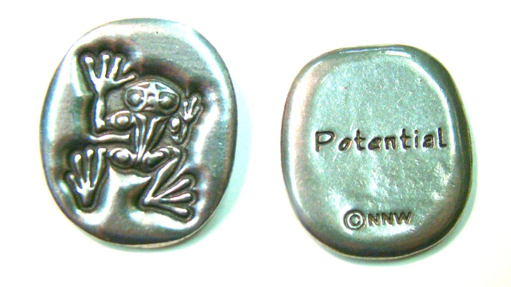 Native Coins - Pocket Spirit Ribit (POTENTIAL)