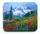 Mount Rainier in Spring