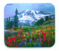 Your mouse will love hiking on this mousepad.