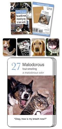 cat and dog animal vocabulary flashcards